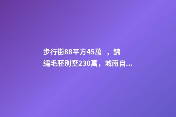 步行街88平方45萬，錦繡毛胚別墅230萬，城南自建房273平帶院165萬